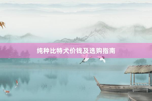 纯种比特犬价钱及选购指南