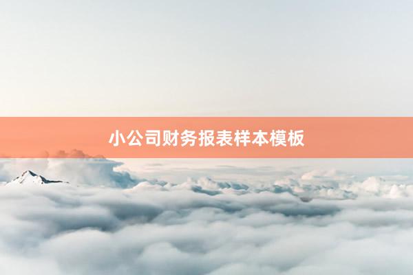 小公司财务报表样本模板