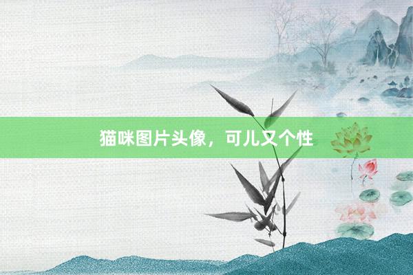 猫咪图片头像，可儿又个性